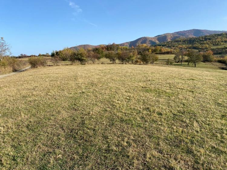 O oportunitate care îți atinge sufletul: Teren de vis la ieșirea din Rășinari - 10