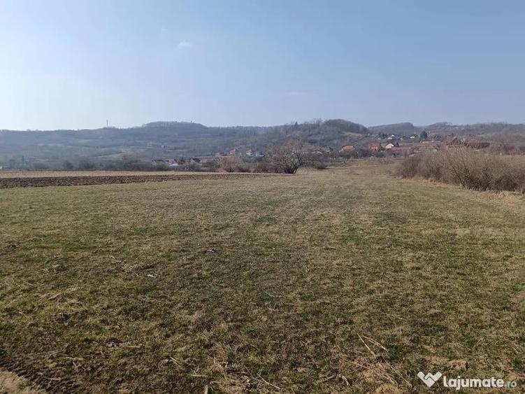 Remetea Chioarului, 29 ari teren - 2