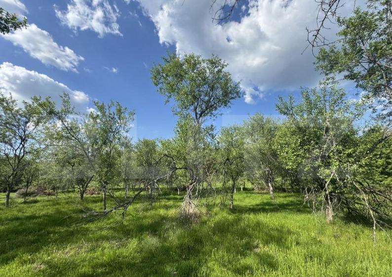 Teren intravilan de vanzare, 15080 mp, zona Tatara?ti - 6