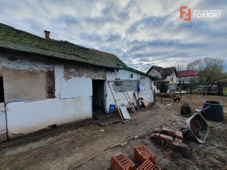 Teren intravilan de 1300 mp, Asfalt - Jebel - 9