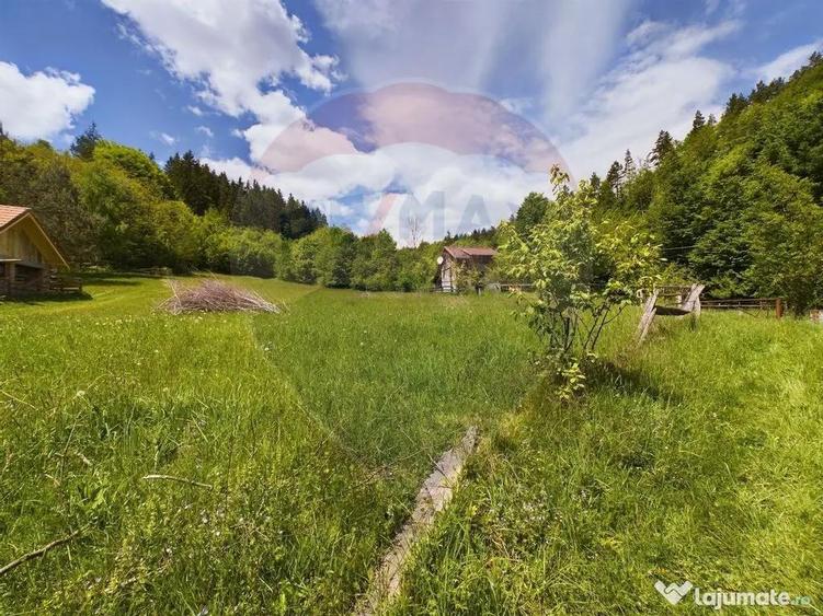 Comision 0%! Proprietate in natura, priveliste superba, S... - 1