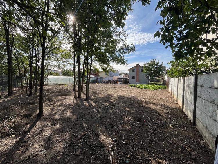 Teren Tunari 850mp str. Vasile Alecsandri - 6