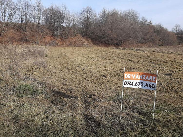 Teren 5000 mp extravilan, langa Pastravaria Cracaoani, 4 euro neg - 5