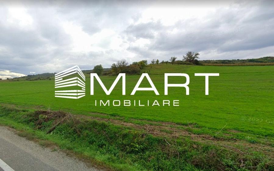 Teren extravilan 42000MP Seica Mare - Sibiu - 3