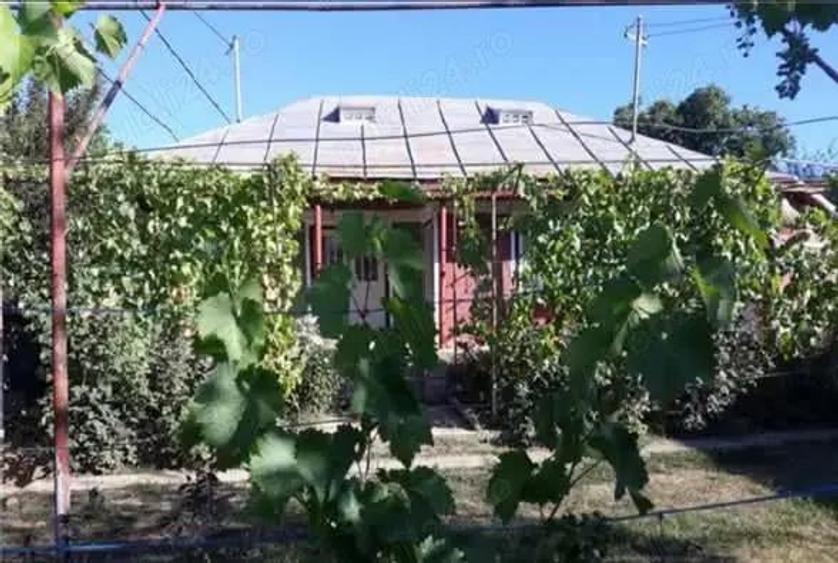 A 13. 20000 mp teren ?i 3 constructii casa in judetul Bacau - 4