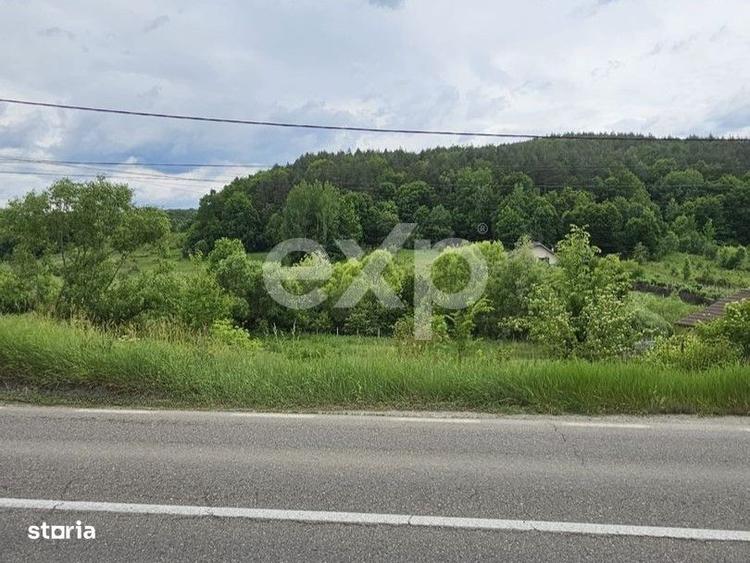 Teren 7,797mp Podis / Calea Moinesti - 1
