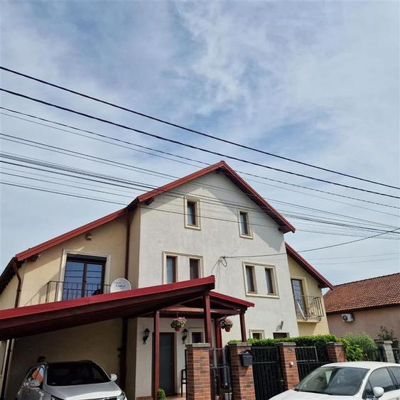 Vila Noua Mosnita Noua - 1