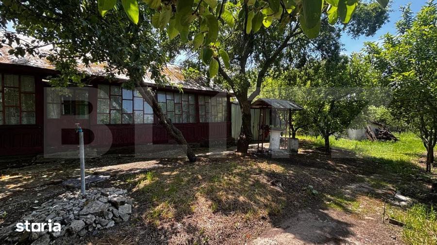 Proprietate cu 2 case, 3.345 mp teren, Balota de Jos, comuna Murgasi - 19