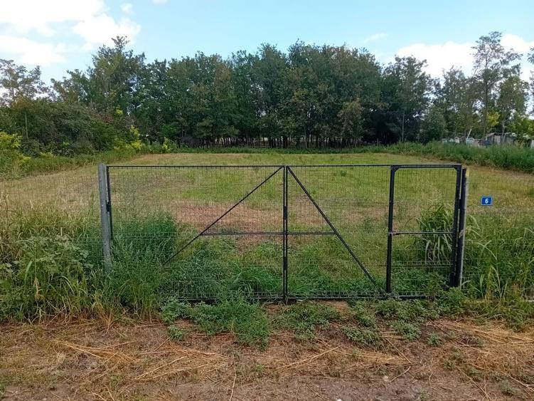 Teren intravilan 1649 m2 - 3