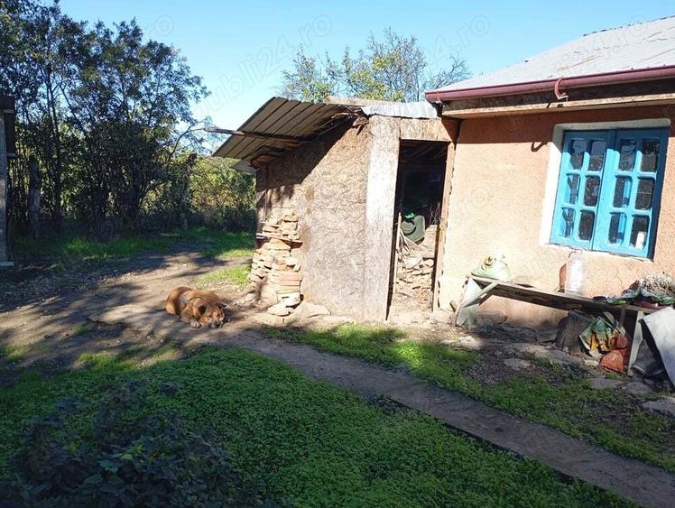 Casa cu teren de 2000 m - 5