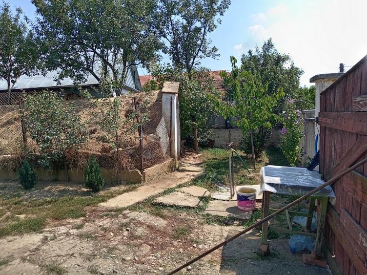 Casa de vanzare in Uileacul de munte la 12 km de Oradea Teren 6800 mp. - 5