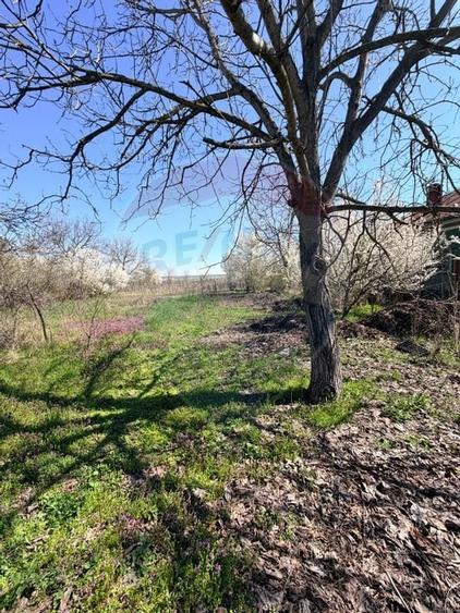 Teren 3,700mp Dobriceni / Strada Sabin Balașa - 3