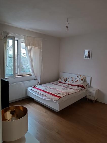 Casa Individulala Clinceni  P+POD - 2