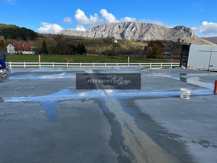Teren agricol extravilan de 9000 mp, în Rimetea