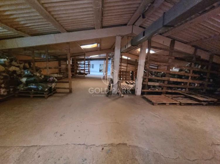 Complex Industrial - Zona Autostrazii A3 - PRELUARE CHIRIASI - 33