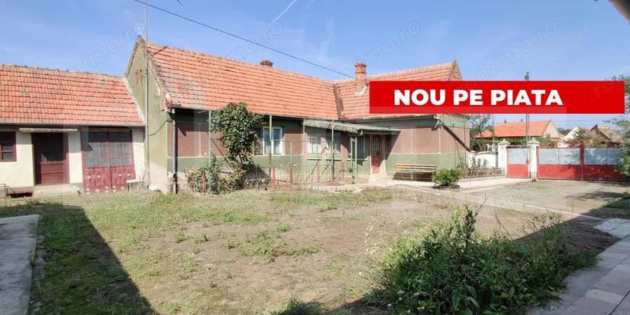 Casa mare cu gospodarie completa Belin?, jude?ul Timi? teren 4.900 mp - 1
