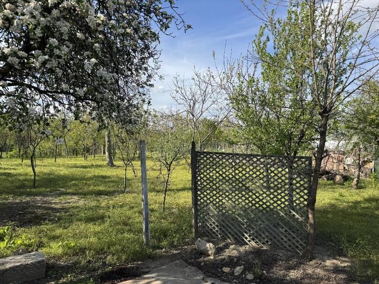 Casă + teren 1600 mp – Ulmeni, Buzău - 12