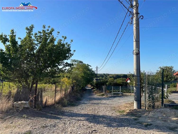 Teren intravilan de vanzare in localitatea Nufaru - 5
