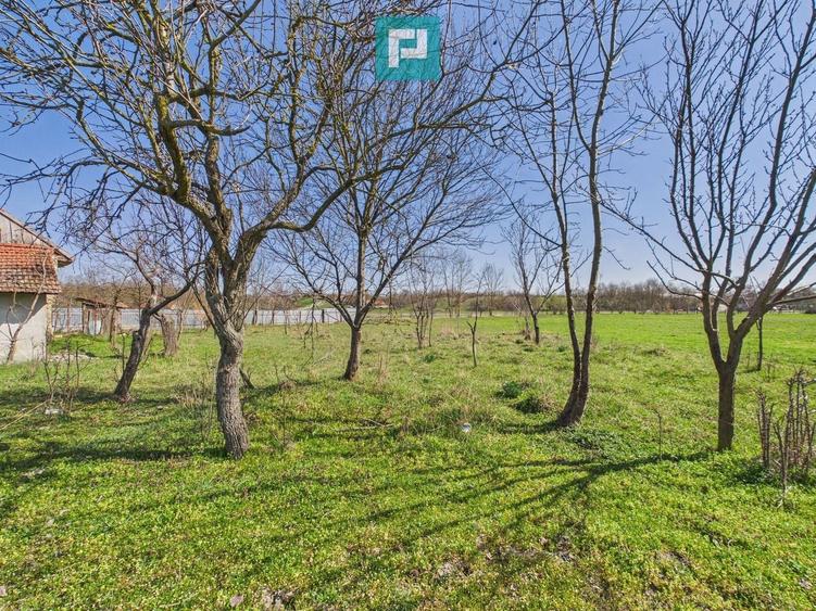 Casă cu teren de 6000 mp în Duboz, Timiș - 12