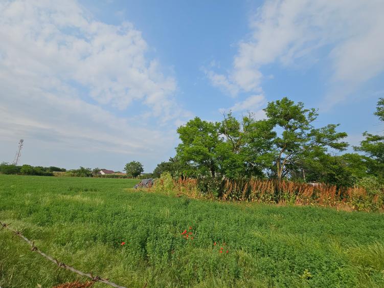 Teren 5.465 mp intravilan și front stradal – Topraisar, Constanța Comision Zero - 2