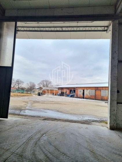 Spatiu Industrial/Depozit - Zona Calea Baciului - 575 mp Open Space - 6