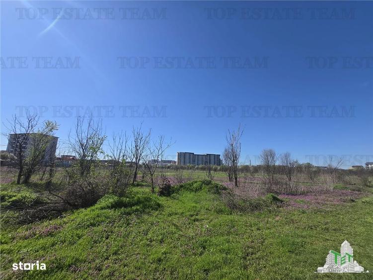 TEREN Intravilan 8.500 mp PACII - 6