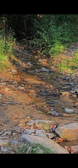 Casa cu teren. Savarsin, Arad - 3