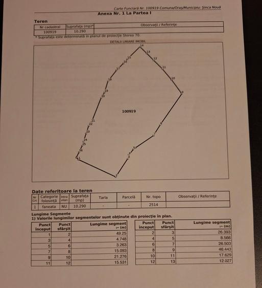 Teren extravilan de vânzare – Șinca Nouă, Brașov | 10.290 mp - 4