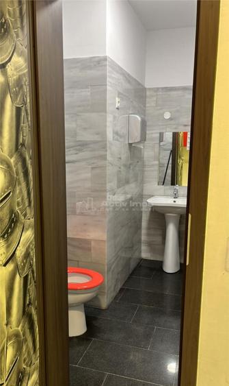 Apartament 2 camere de Iancu Jianu - 10