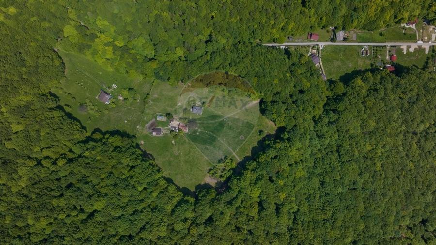 Teren de vanzare - Colonia 1 Mai, 5.310 mp, ideal pentru investitie - 6