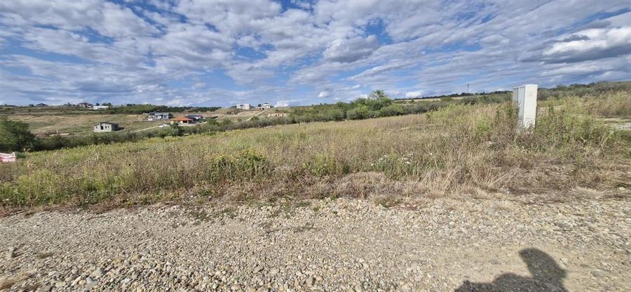 RECO Teren  intravilan in Saldabagiu de Munte - 4