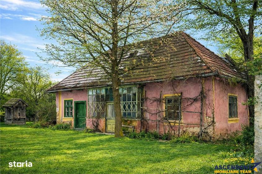 FILM! Oaza ta de liniste pe 4.900mp teren intravilan, Tufalau, Covasna - 3