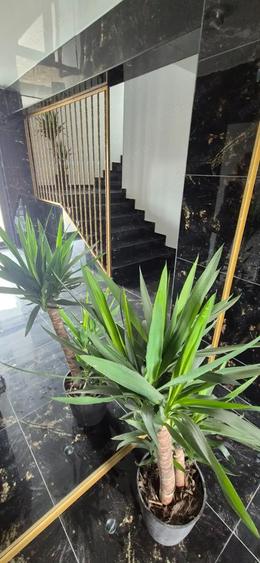 garsoniera sector 3 titan theodor pallady langa metrou si parc - 7