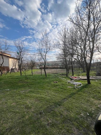 Se vinde casa la tara - 3