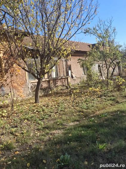 Vand casa in comuna Branceni - 4