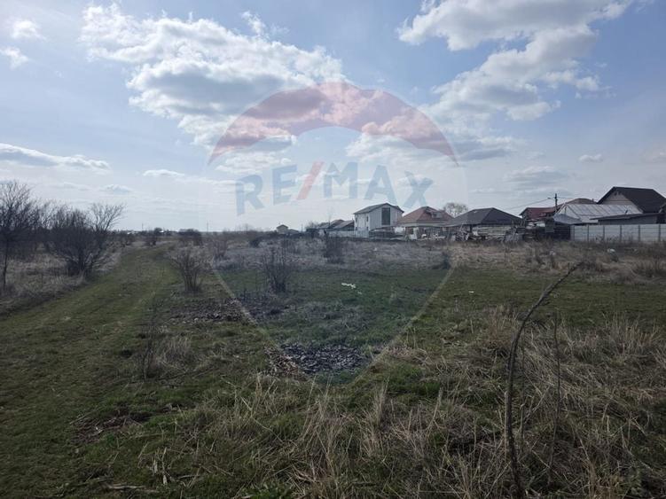 Teren  Balotesti Dumbraveni  16.700 mp /8350 mp /loturi 500 mp - 2