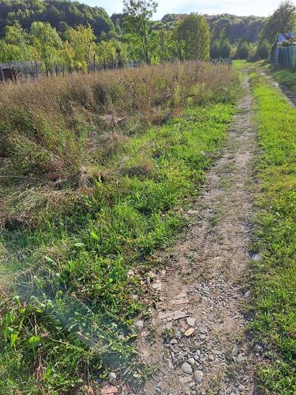 Teren in suprafata de 751 mp, Buda - 2