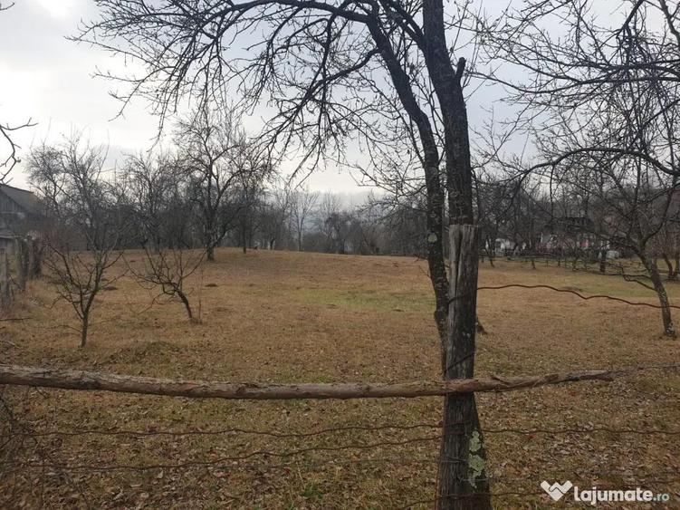 Teren intravilan 2911mp - 4