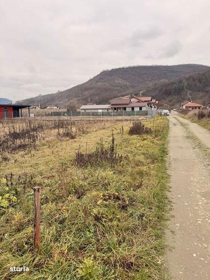 Teren intravilan Dej(viile dejului fosta livada)600mp - 2