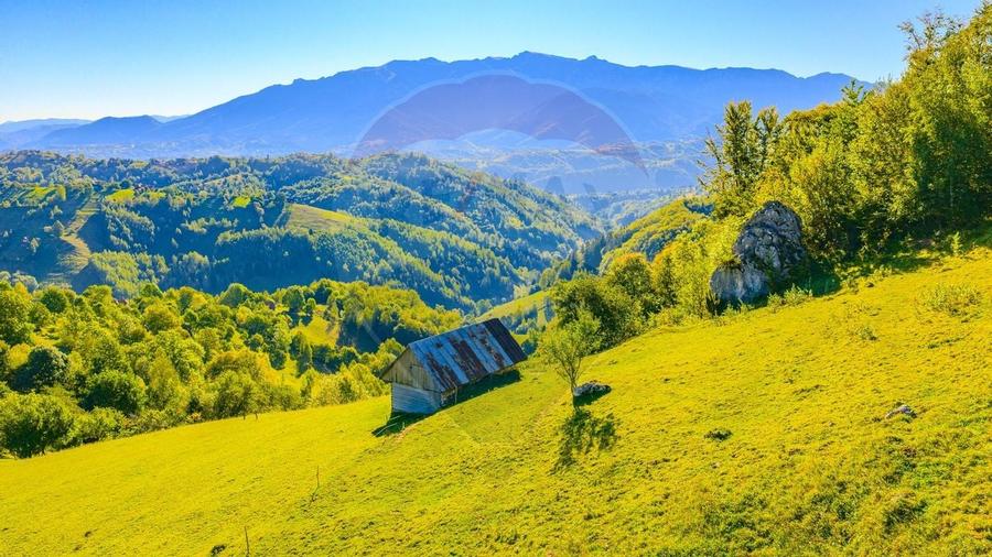 COMISION 0% Teren 10,594mp Pestera /Intravilan - 5