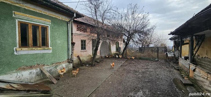 Casa + teren in comuna Prundeni, sat Zavideni, jud Valcea - 2