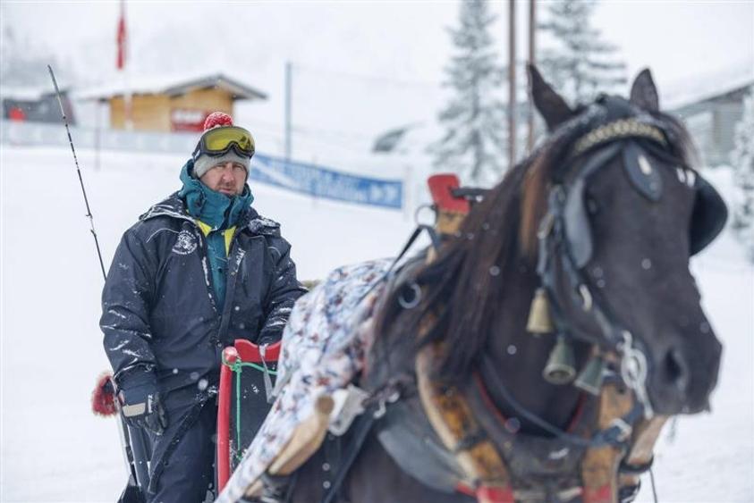 Teren cu Certificat Urbanism - 30