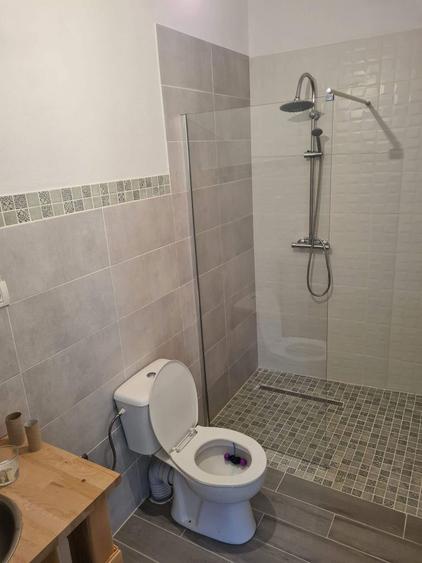 Inchiriez casa in Arpasu de jos - 1