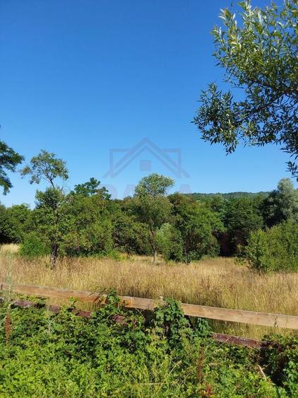 TEREN INTRAVILAN ZĂVOI\ZONA VALEA BISTREI, JUD.C-S - 1