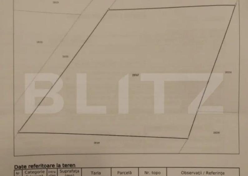 Teren extravilan,850 mp,ideal de cabana,zona Blajeni de Jos - 2