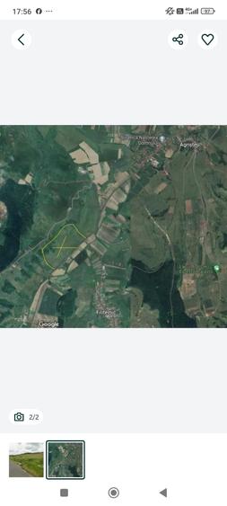 Teren agricol extravilan de 60000 mp, în Bălăușeri