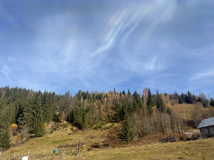 DIRECT PROPRIETAR Atractiv pentru pensiune/casa de vacanta): Teren de Poveste la Munte 6.000 mp Intravilan + 6.000 mp Extravilan,Dorna Arini-Ortoaia - 8