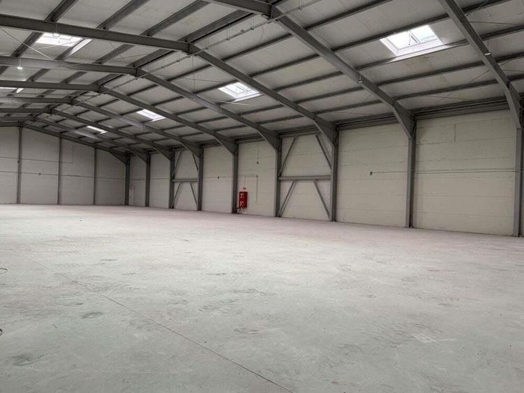 Spatiu depozitare si productie Otopeni - 3