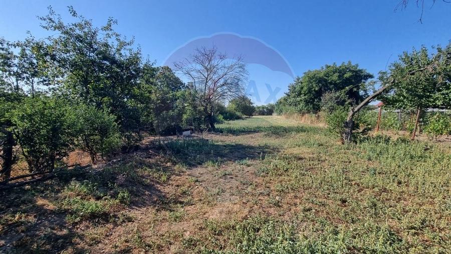 Teren intravilan de inchiriat  - 3.600mp Soseaua Unirii - Balotesti - 23