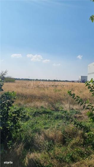 Teren 25000 la 4 benzi deschidere 70m - 1